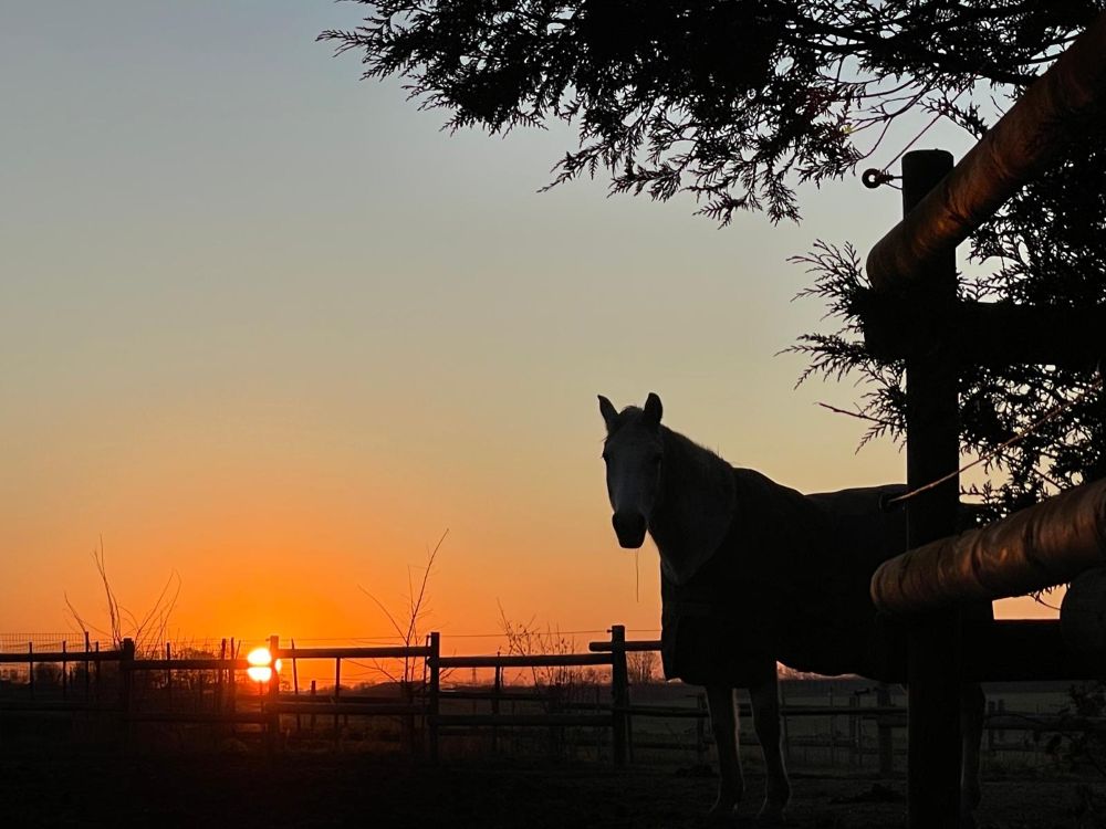 Carrière du Clos du Marronnier sous la soleil.