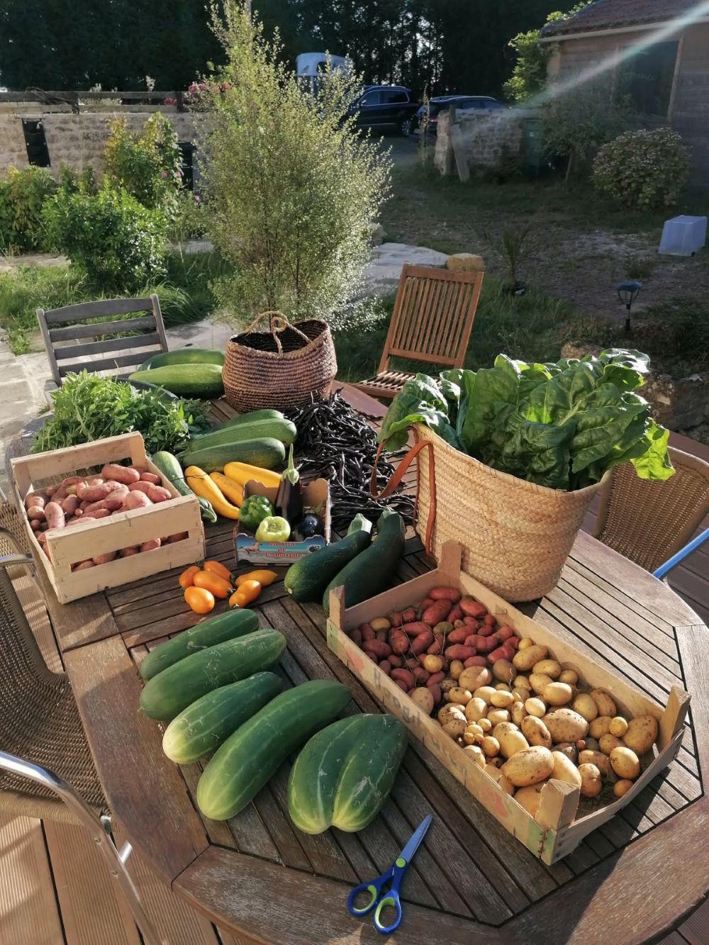 Le Clos du Marronnier produit ses fruits et légumes en respectant l'environnement normand