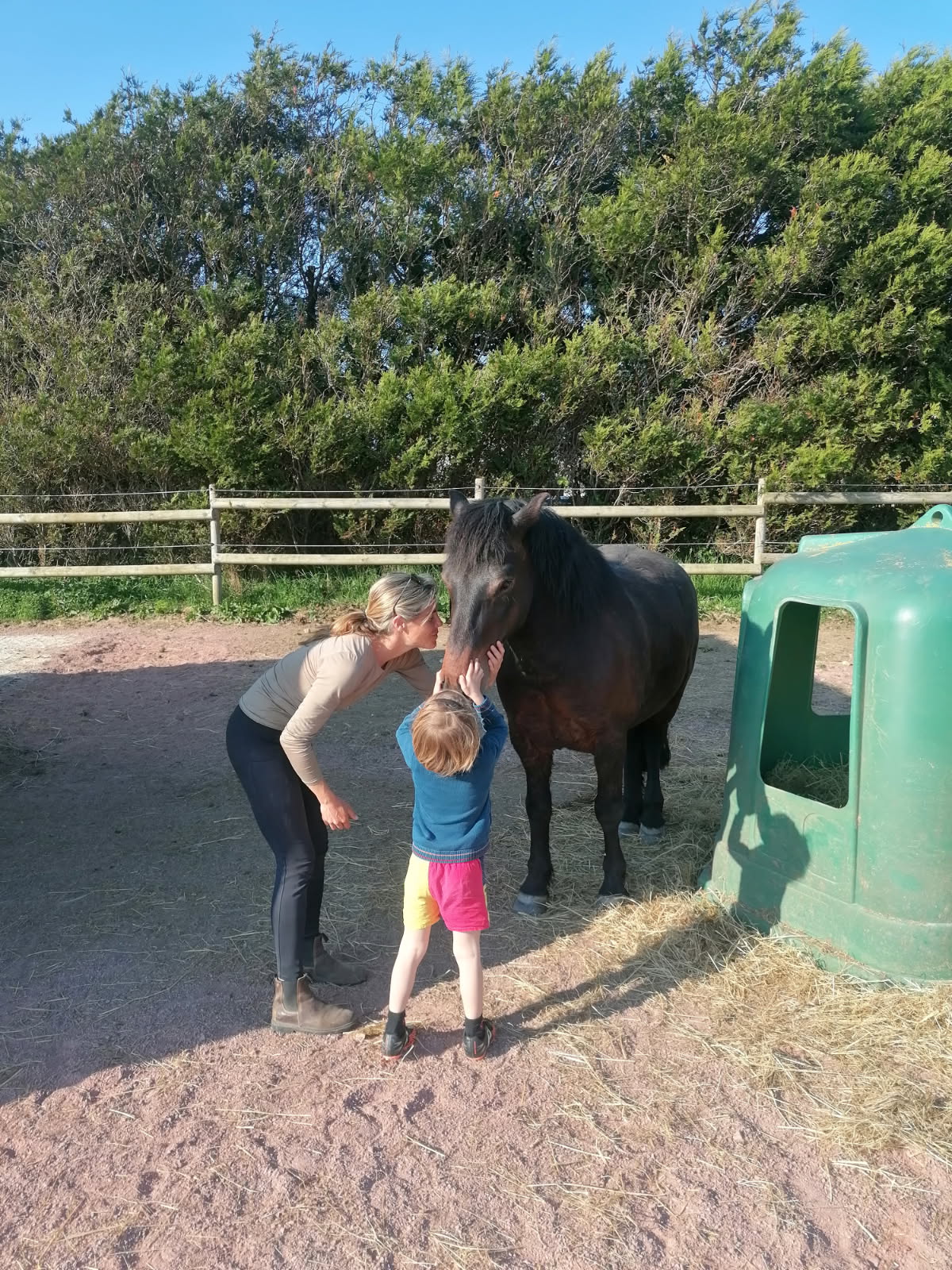 Cours d'équitation pour les enfants : découvrir le cheval en s'amusant et en respectant les animaux