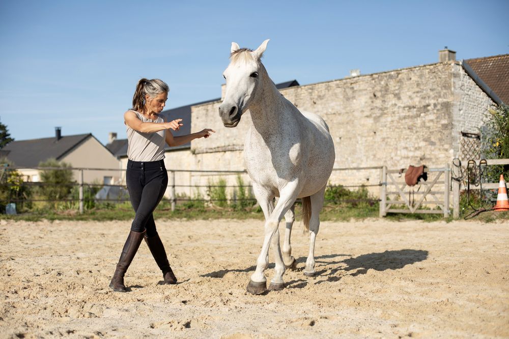 Travail à pied avec Impetuoso