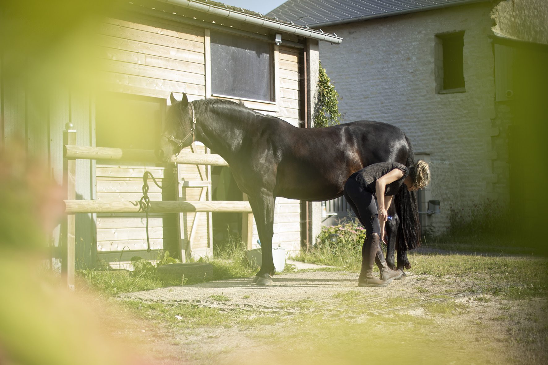 Stage d'équitation en Normandie : prendre soin de son cheval