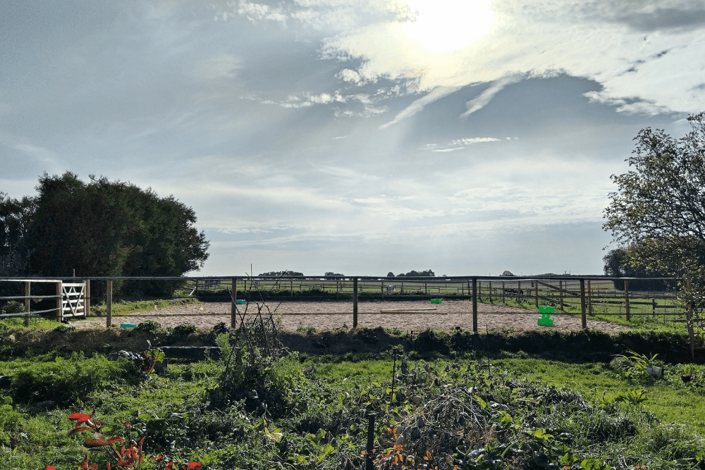 La carrière équestre du Clos du Marronnier