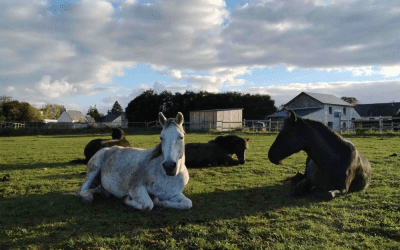 L’attention au présent