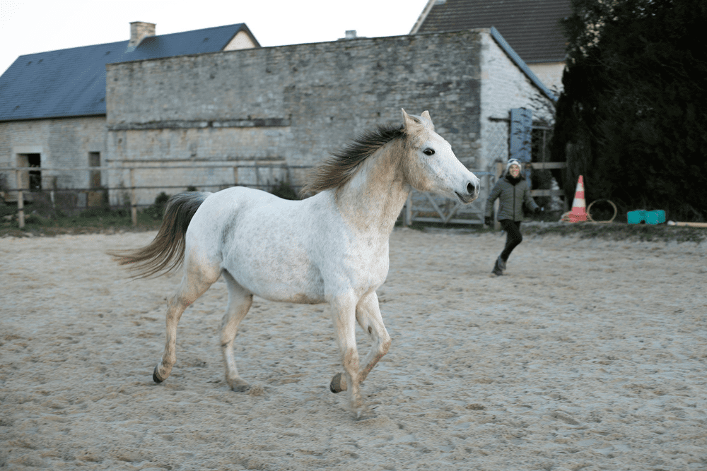 Melody et Emilie, en miroir