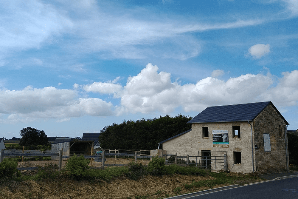 Médiation équine et accompagnement pour les pros en Normandie
