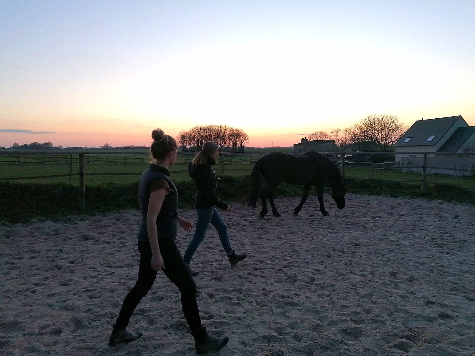 Médiation équine et développement personnel près de Bayeux, Caen
