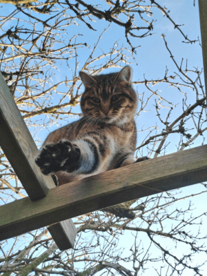 Carrière du Clos du Marronnier sous la soleil.