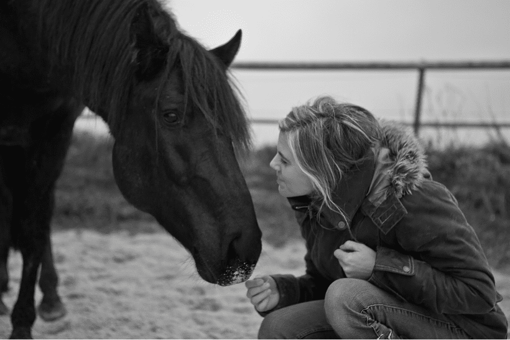 Mediation cheval près de Bayeux : Emilie et Impetuoso